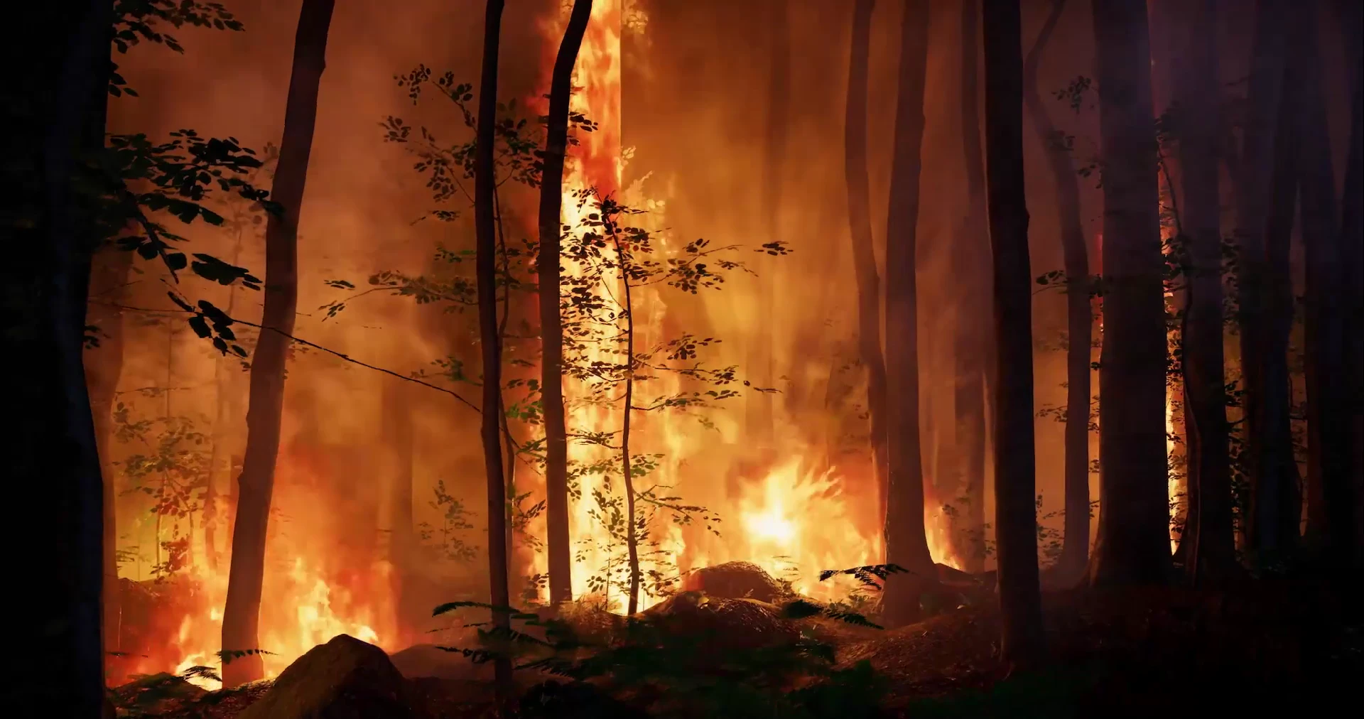 Flames and smoke rise between the trees in MATA’s real-time digital forest.